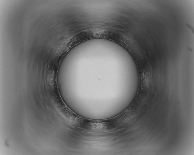 X0000102830698200808251134