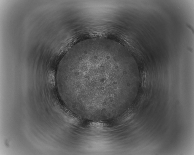 X0000102830699200808251134