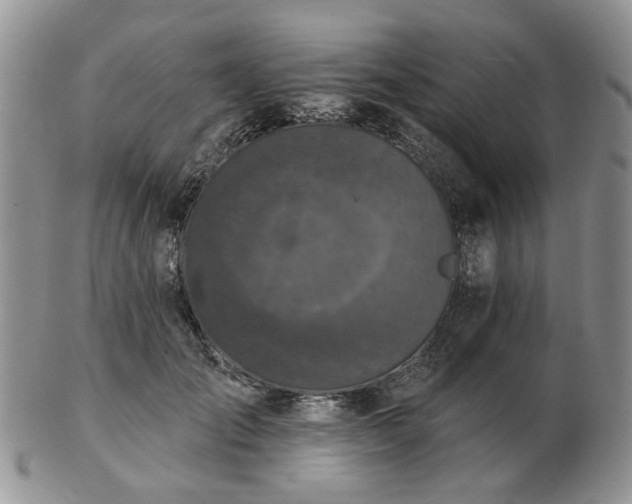 X0000102830701200808251134