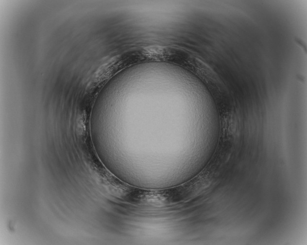 X0000102830702200808251134