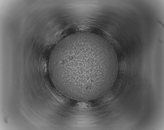 X0000102830703200808251134