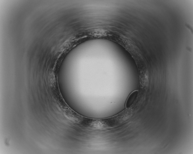 X0000102830704200808251134