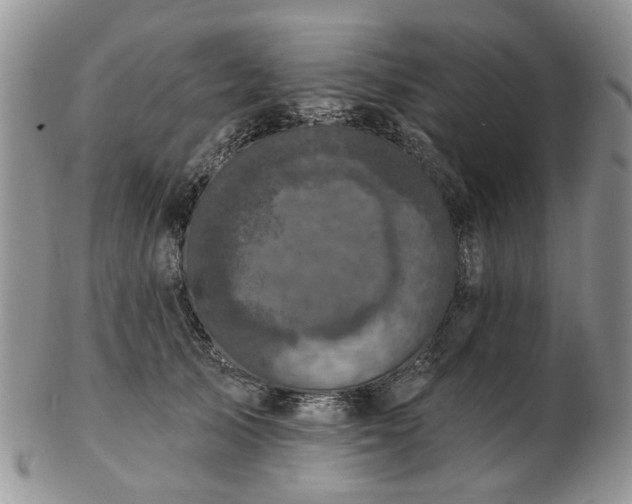 X0000102830705200808251134