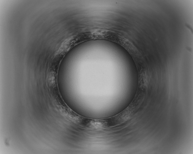 X0000102830706200808251134