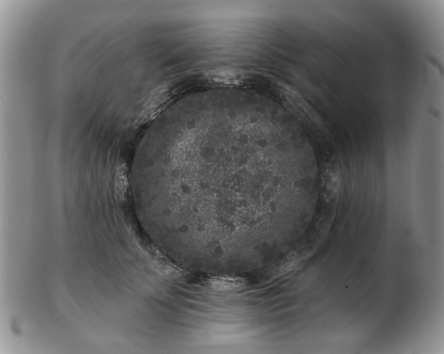 X0000102830707200808251134