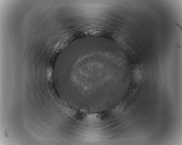 X0000102830709200808251134