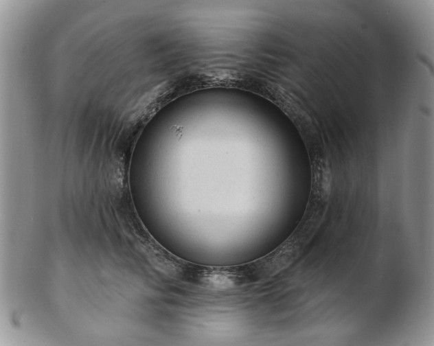 X0000102830710200808251134