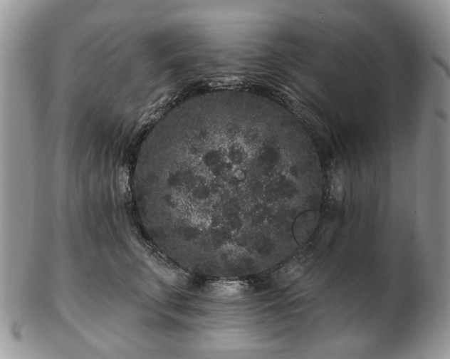 X0000102830711200808251134