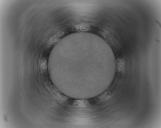 X0000102830713200808251134