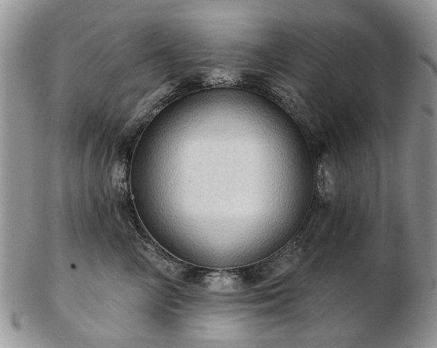 X0000102830714200808251134