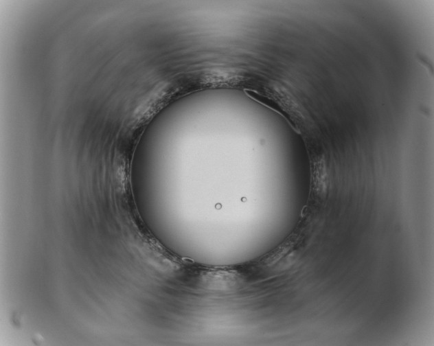 X0000102830716200808251134