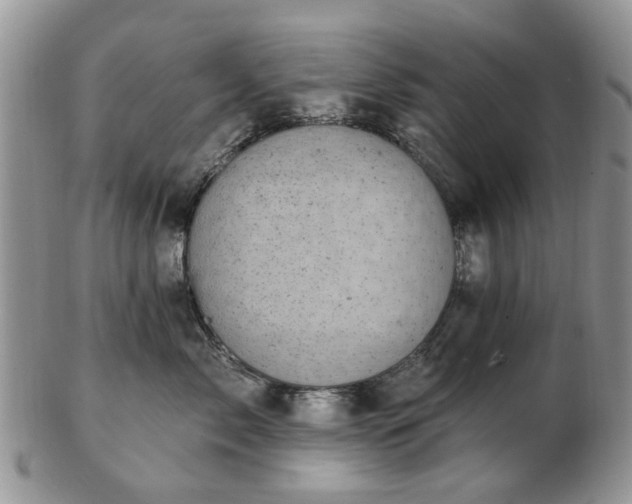 X0000102830717200808251134