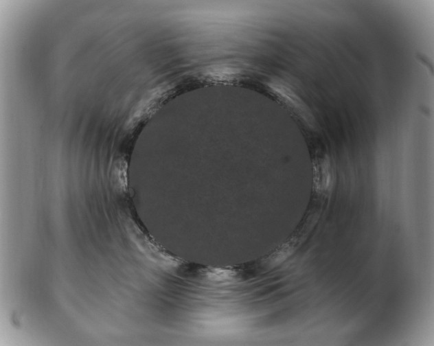 X0000102830718200808251134