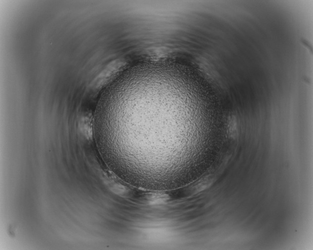 X0000102830719200808251134