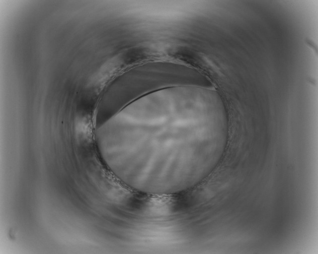 X0000102830720200808251133