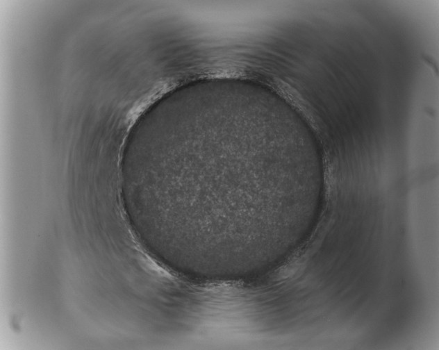 X0000102830721200808251133