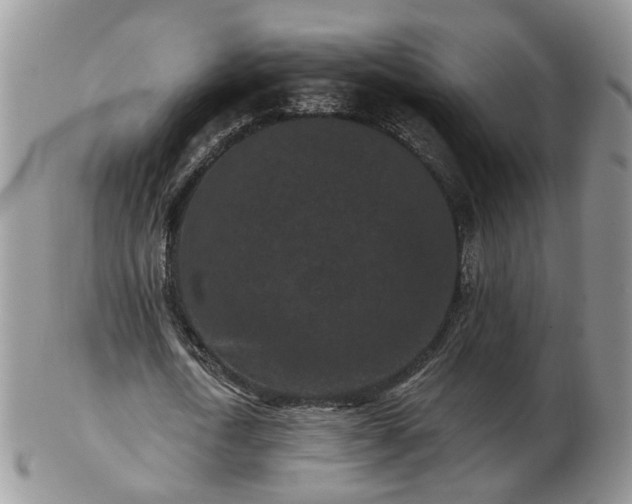 X0000102830722200808251133