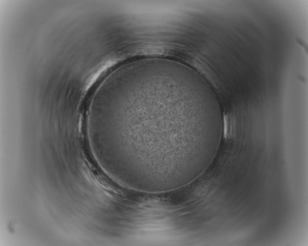 X0000102830723200808251133