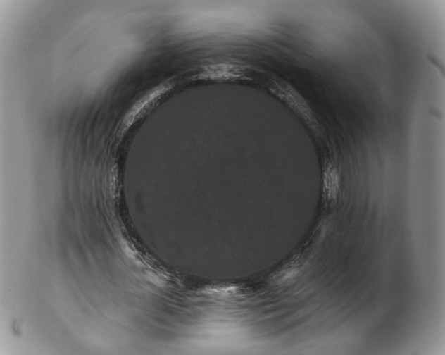 X0000102830724200808251133