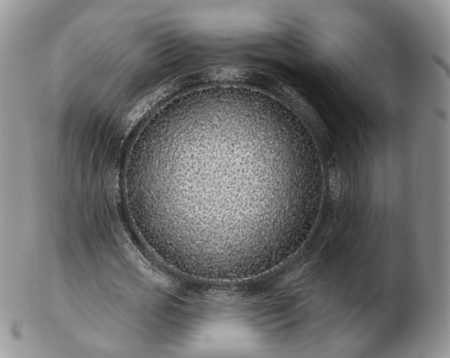 X0000102830725200808251133