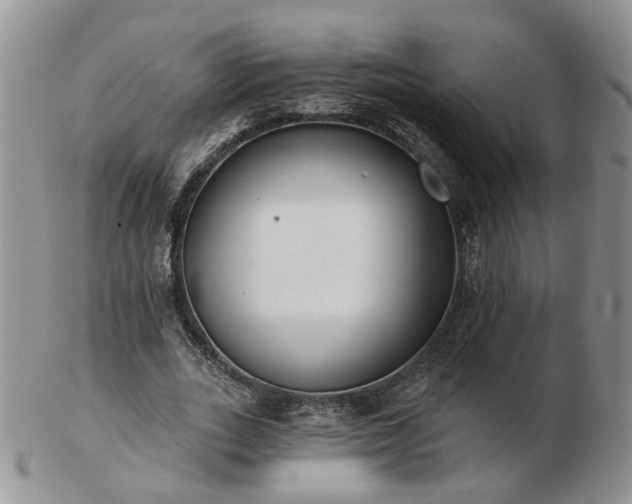 X0000102830727200808251133