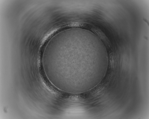 X0000102830728200808251133