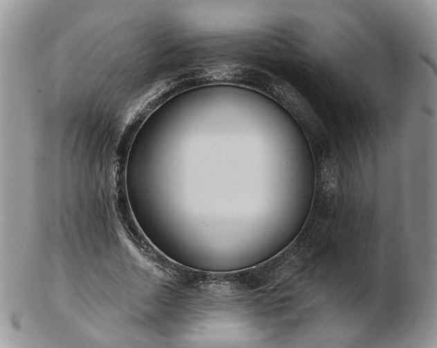 X0000102830730200808251133