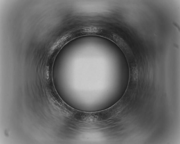 X0000102830731200808251133