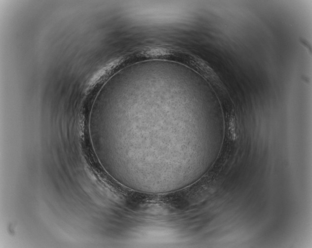 X0000102830732200808251133