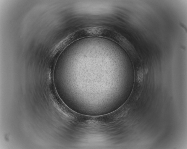 X0000102830733200808251133