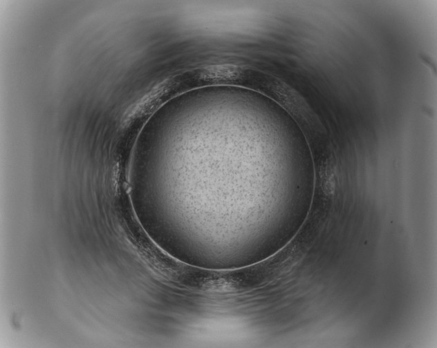 X0000102830735200808251133