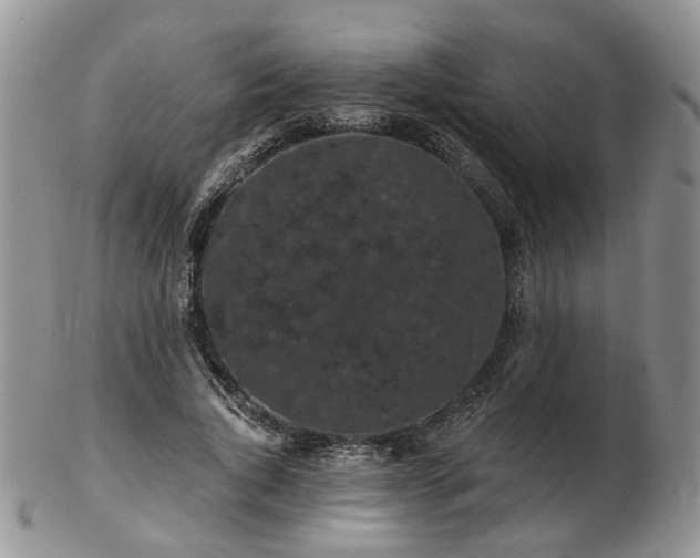 X0000102830736200808251133