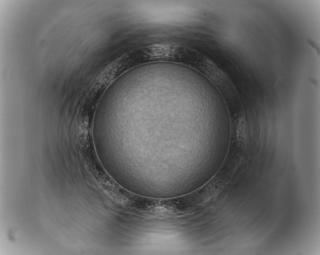 X0000102830737200808251133