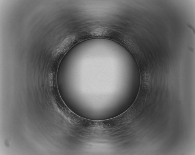 X0000102830738200808251133