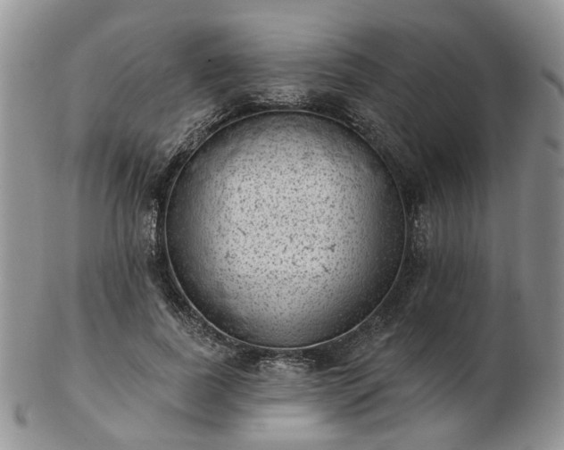 X0000102830739200808251133