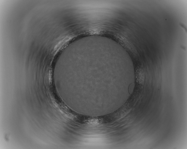 X0000102830740200808251133