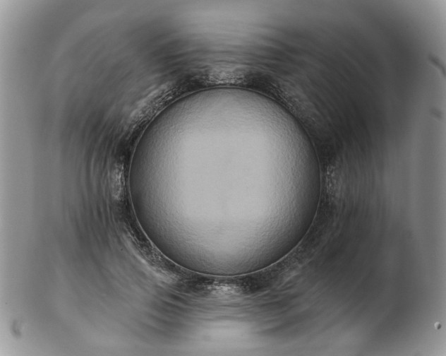 X0000102830741200808251133