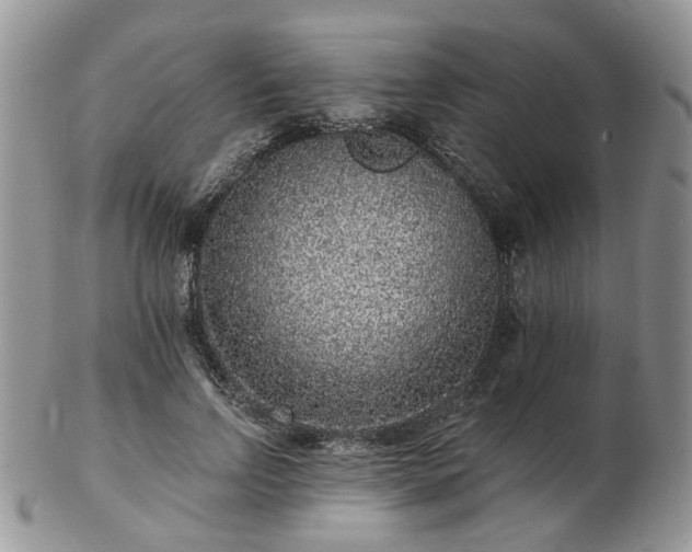 X0000102830742200808251133