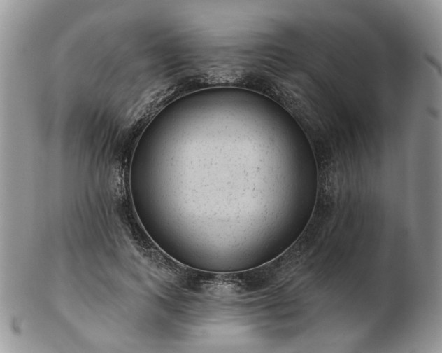 X0000102830743200808251133