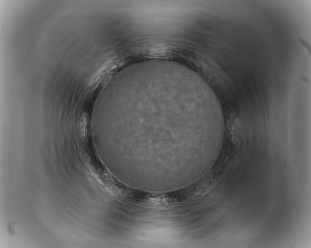 X0000102830744200808251133