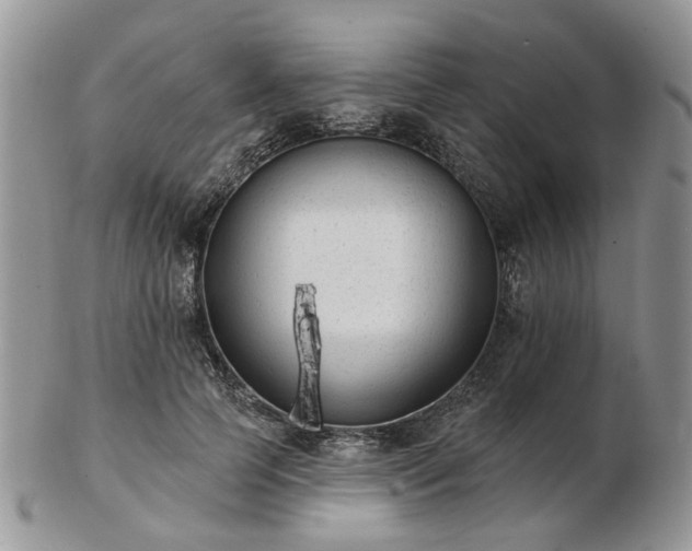 X0000102830745200808251133