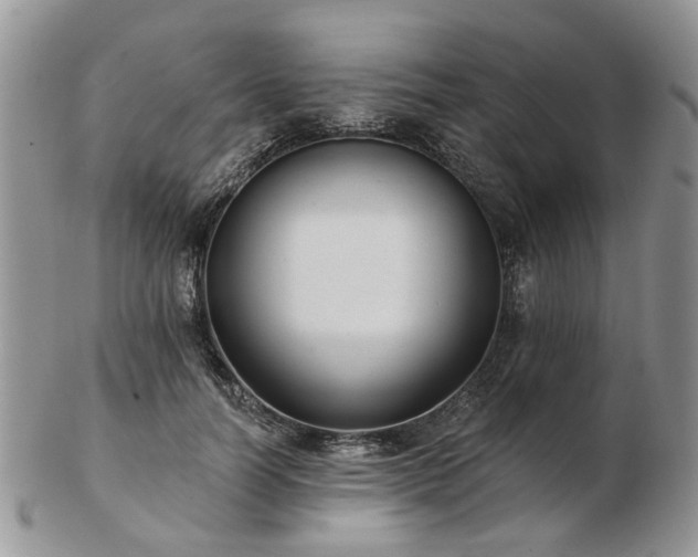 X0000102830746200808251133