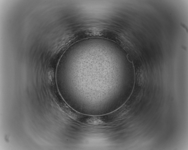 X0000102830747200808251133