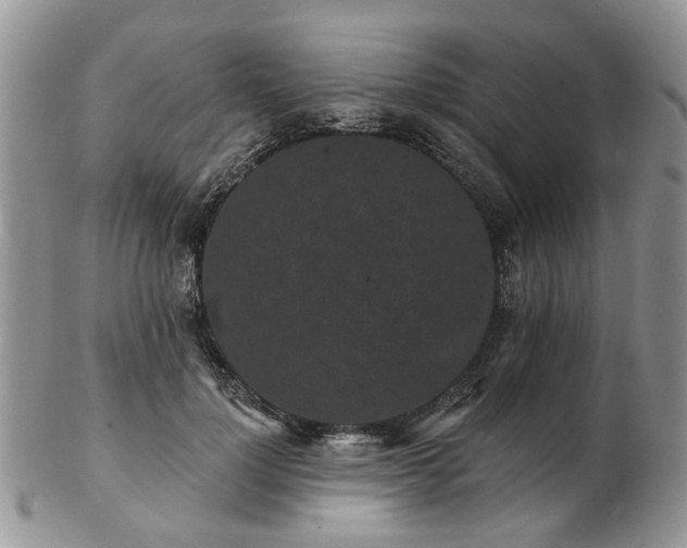 X0000102830748200808251133