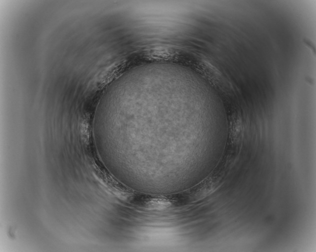 X0000102830749200808251133