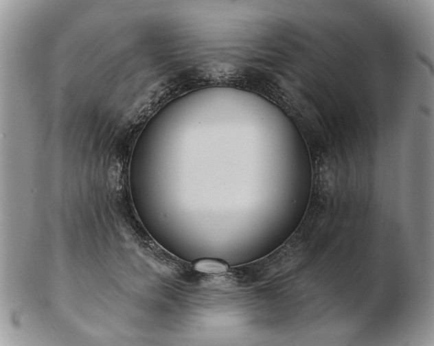 X0000102830750200808251133