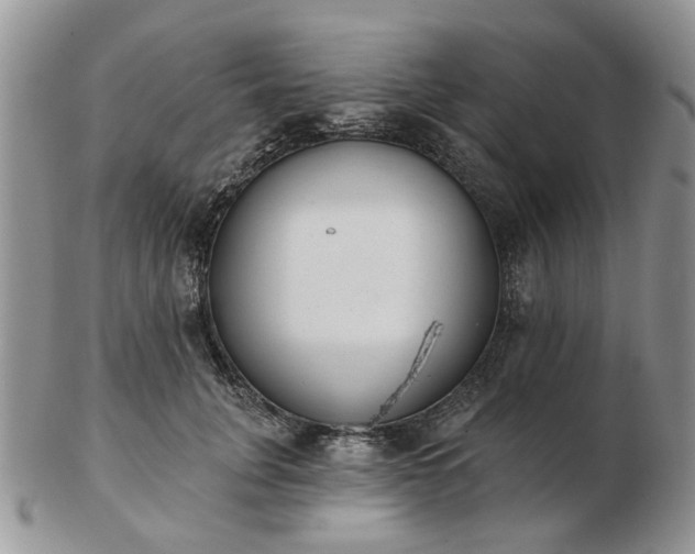 X0000102830751200808251133