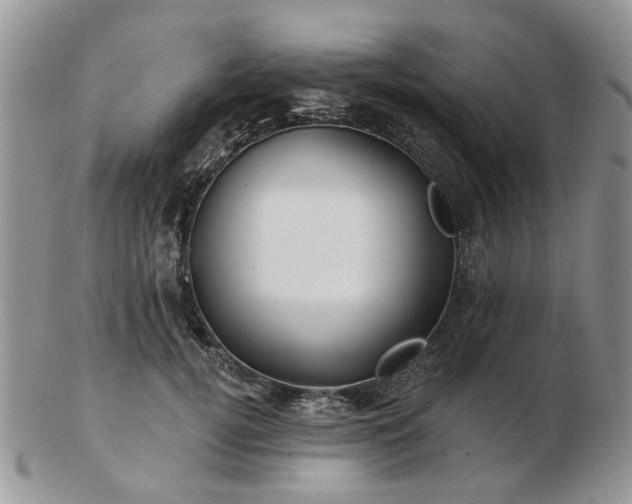 X0000102830752200808251133