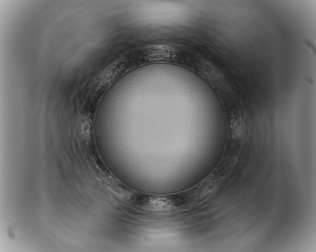 X0000102830753200808251133