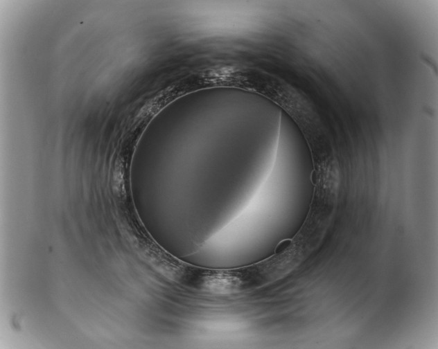 X0000102830754200808251133